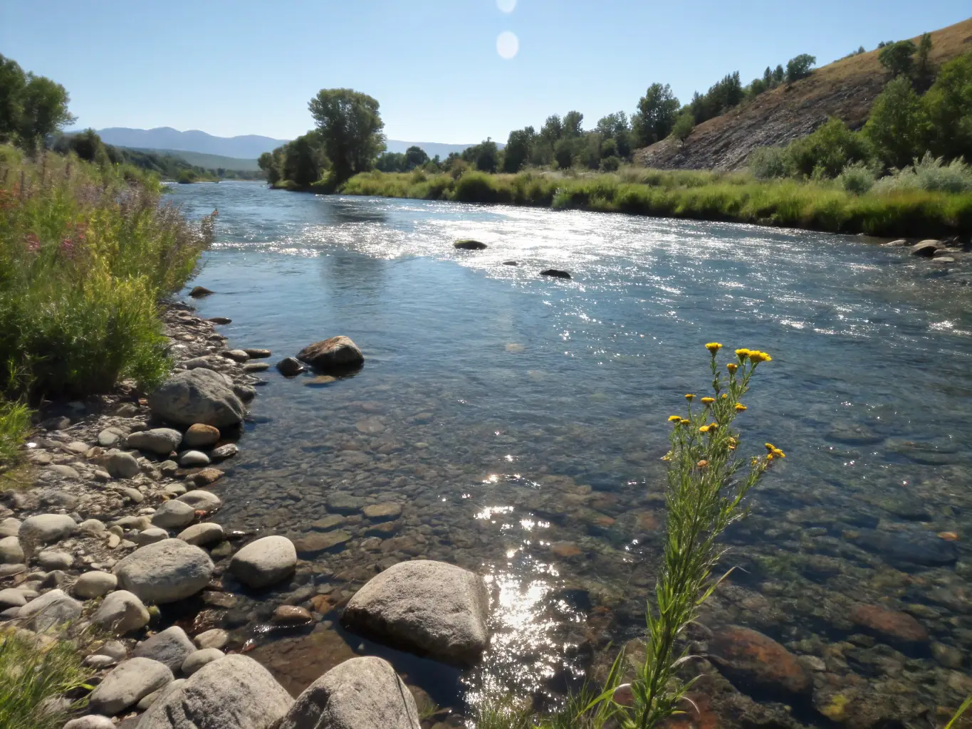 A scenic view of the Guadalupe River flowing through Kerrville, Texas, with lush greenery and clear waters, highlighting the town's natural beauty and outdoor recreational opportunities.